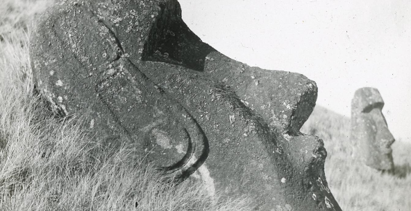 Cabeza de Moai perfil